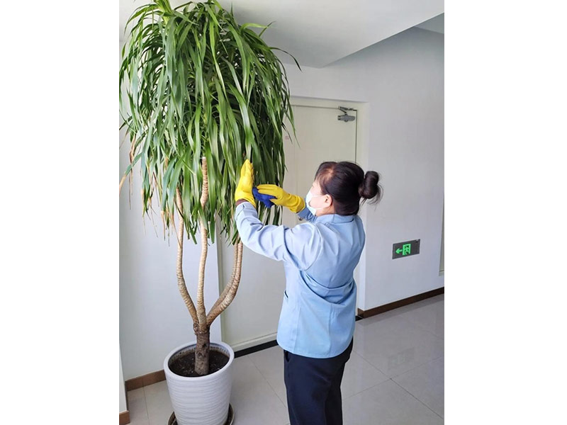 公司写字楼日常保洁维护服务-(7)